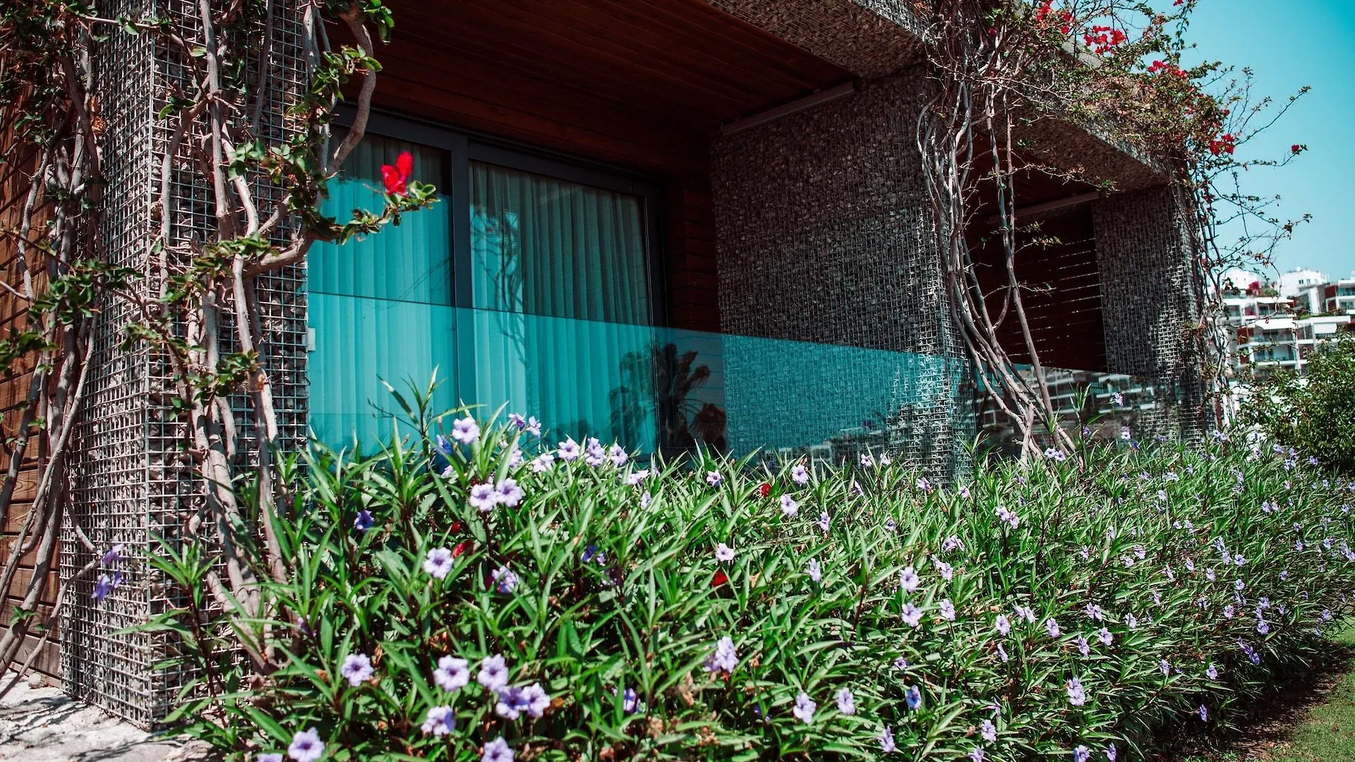 Costa Farilya Special Class Hotel Bodrum Gundogan  4*, Gundogan (Bodrum)