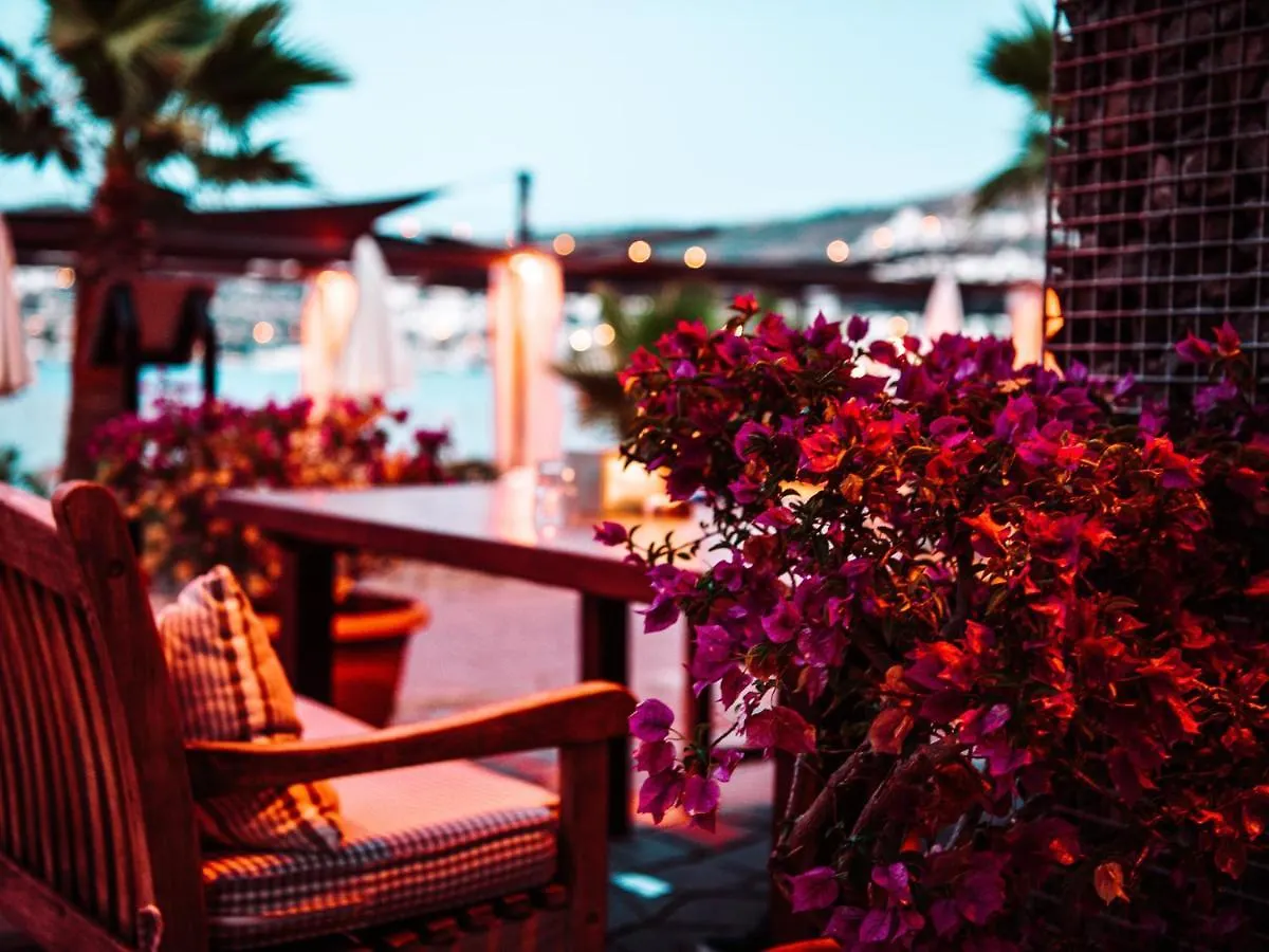 Costa Farilya Special Class Hotel Bodrum Gundogan  Gundogan (Bodrum)
